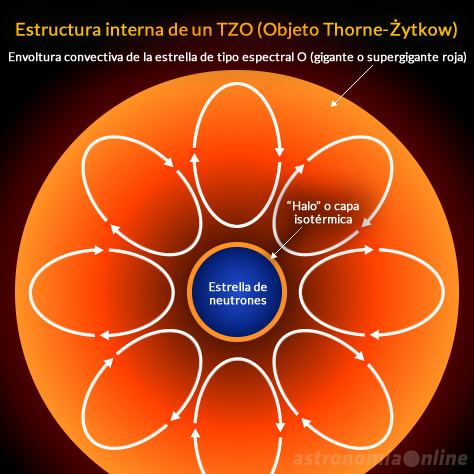 Diagrama de la estructura interna de un objeto Thorne-Żytkow. Créditos de la imagen del encabezado: Digital Sky Survey/Center de Données astronomiques de Strasbourg/Astronomía Online.