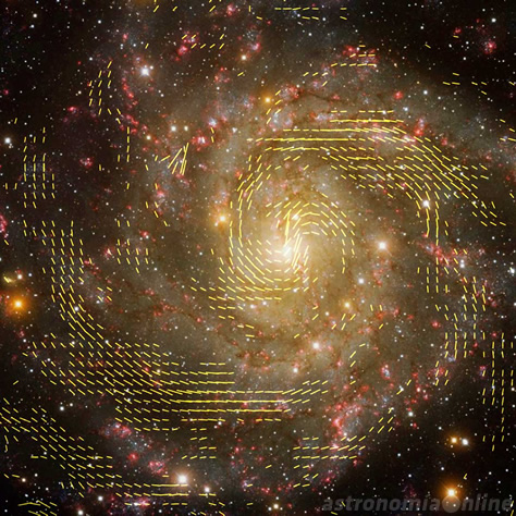 Mosaico que combina una imagen óptica de la galaxia IC 342 con las observaciones realizadas mediante los radiotelescopios Effelsberg y VLA. Las líneas negras muestran la orientación de las líneas del campo magnético. Créditos de la imagen de radio: R. Beck, MPIfR - NRAO/AUI/NSF. Imagen de fondo: T.A. Rector, University of Alaska Anchorage - H. Schweiker, WIYN - NOAO/AURA/NSF.